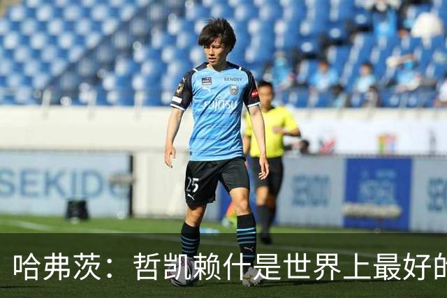 哈弗茨：哲凯赖什是世界上最好的前锋之一，和他踢球很容易