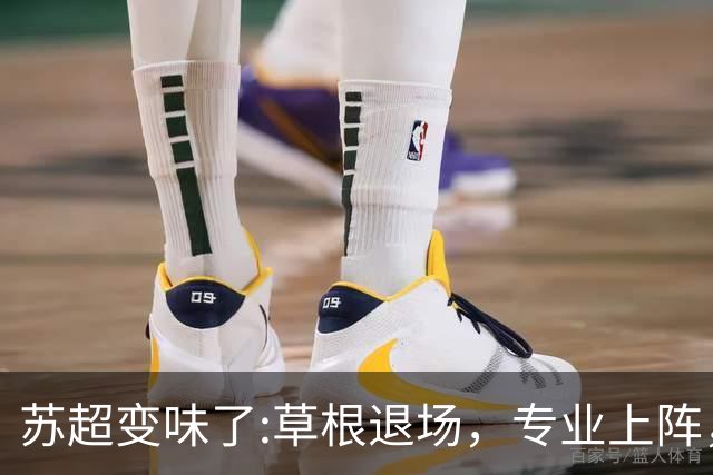 苏超变味了:草根退场，专业上阵，要守住初心啊！