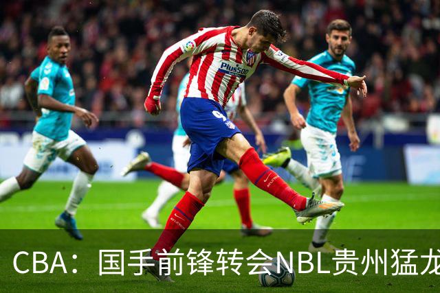 CBA：国手前锋转会NBL贵州猛龙，王少杰前往江苏男篮，吉林大将签约宁波，胡金秋预计留队